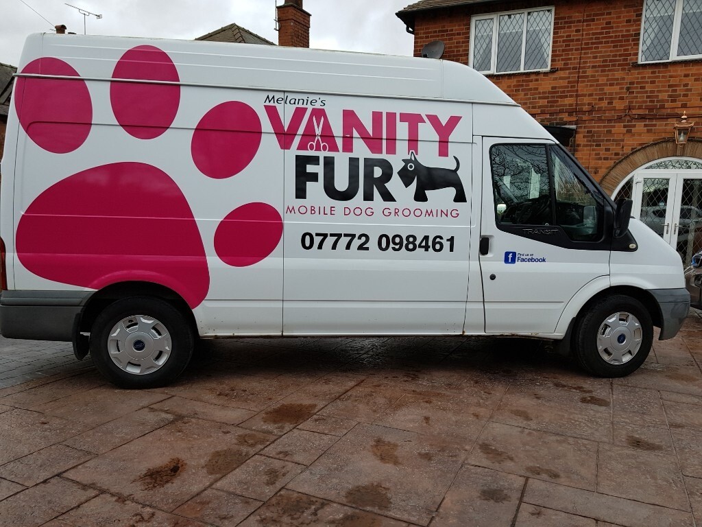 used grooming vans for sale near me